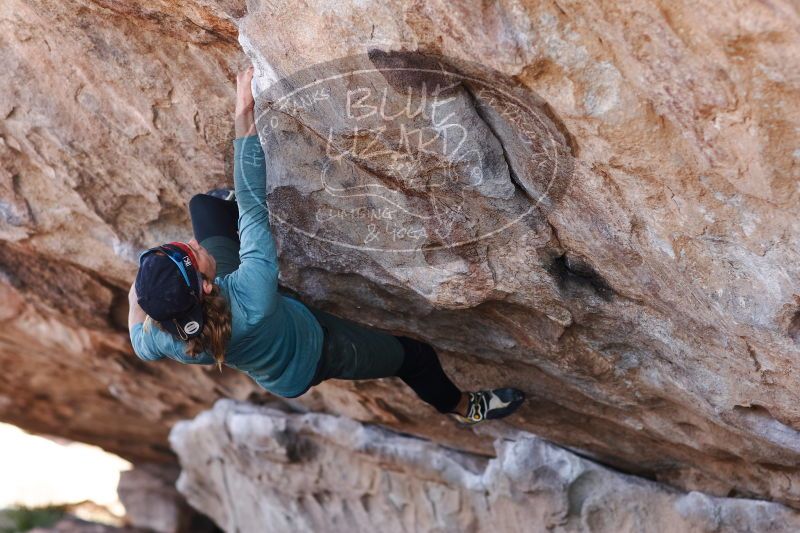 

Filename: SRM_20170103_1329520.jpg
Aperture: f/2.8
Shutter Speed: 1/400
Body: Canon EOS-1D Mark II
Lens: Canon EF 85mm f/1.2 L II