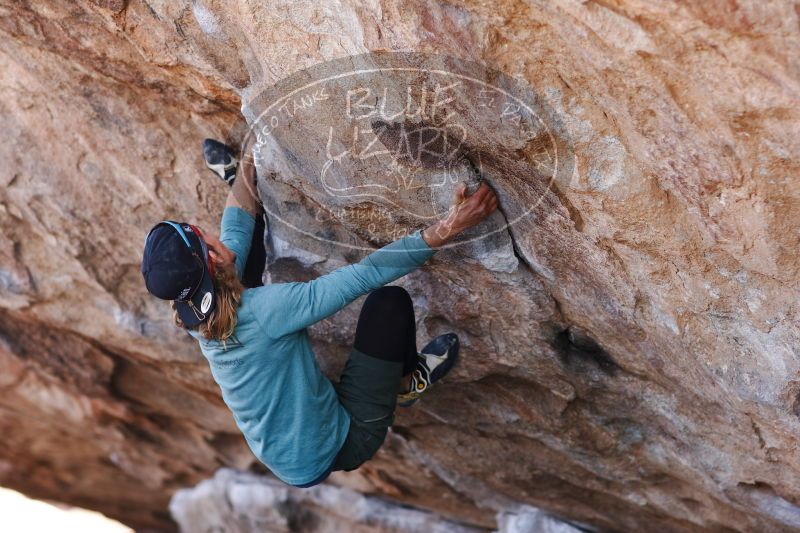 

Filename: SRM_20170103_1330140.jpg
Aperture: f/2.8
Shutter Speed: 1/500
Body: Canon EOS-1D Mark II
Lens: Canon EF 85mm f/1.2 L II