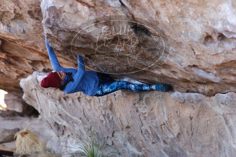 

Filename: SRM_20170103_1331141.jpg
Aperture: f/2.8
Shutter Speed: 1/400
Body: Canon EOS-1D Mark II
Lens: Canon EF 85mm f/1.2 L II