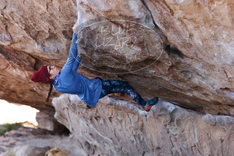 

Filename: SRM_20170103_1331210.jpg
Aperture: f/2.8
Shutter Speed: 1/500
Body: Canon EOS-1D Mark II
Lens: Canon EF 85mm f/1.2 L II