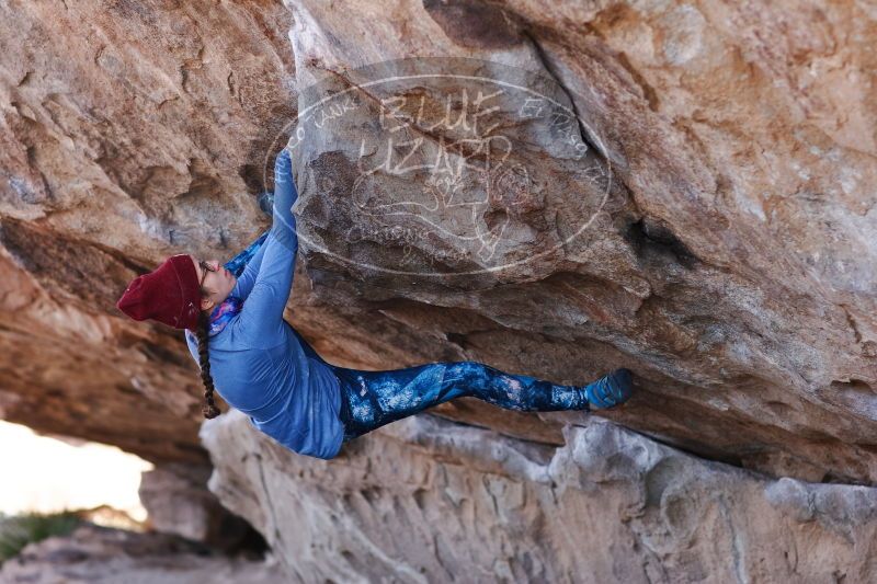 

Filename: SRM_20170103_1331250.jpg
Aperture: f/2.8
Shutter Speed: 1/500
Body: Canon EOS-1D Mark II
Lens: Canon EF 85mm f/1.2 L II