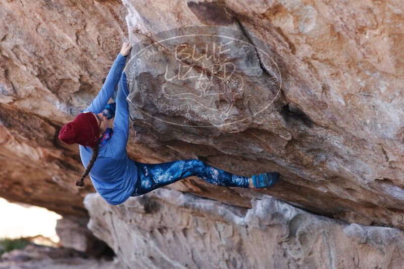 

Filename: SRM_20170103_1331260.jpg
Aperture: f/2.8
Shutter Speed: 1/500
Body: Canon EOS-1D Mark II
Lens: Canon EF 85mm f/1.2 L II