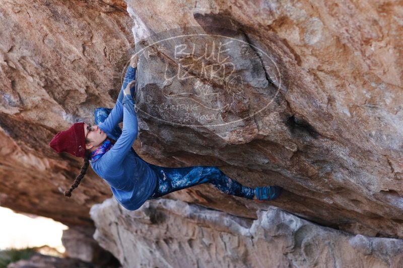 

Filename: SRM_20170103_1331280.jpg
Aperture: f/2.8
Shutter Speed: 1/500
Body: Canon EOS-1D Mark II
Lens: Canon EF 85mm f/1.2 L II