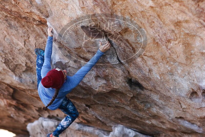 

Filename: SRM_20170103_1331360.jpg
Aperture: f/2.8
Shutter Speed: 1/500
Body: Canon EOS-1D Mark II
Lens: Canon EF 85mm f/1.2 L II