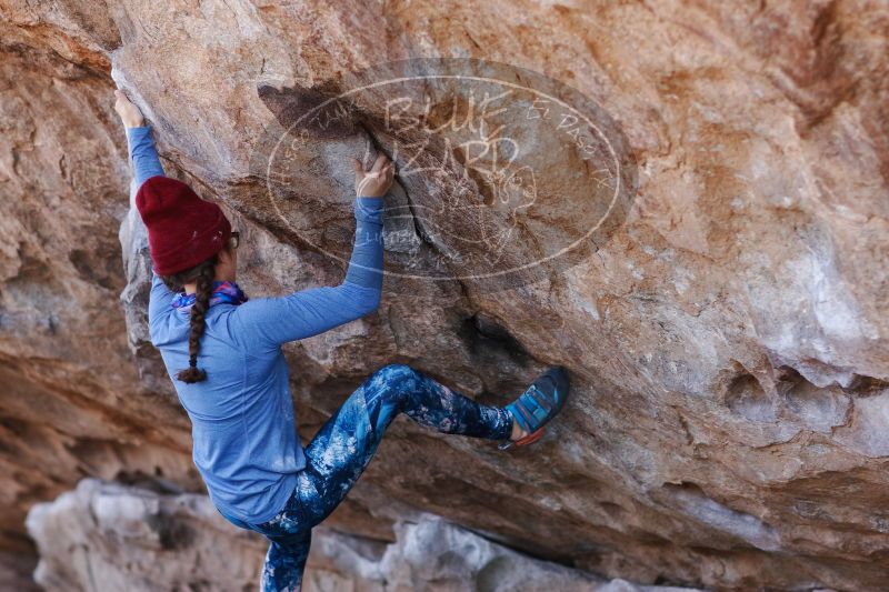 

Filename: SRM_20170103_1331381.jpg
Aperture: f/2.8
Shutter Speed: 1/500
Body: Canon EOS-1D Mark II
Lens: Canon EF 85mm f/1.2 L II