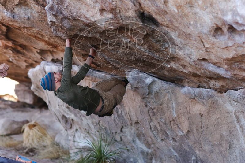 

Filename: SRM_20170103_1333533.jpg
Aperture: f/2.8
Shutter Speed: 1/400
Body: Canon EOS-1D Mark II
Lens: Canon EF 85mm f/1.2 L II