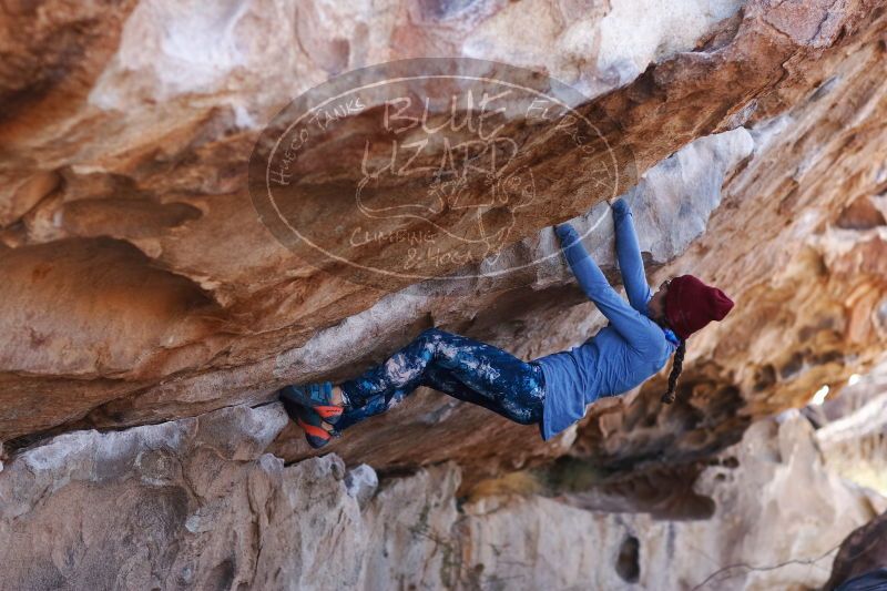 

Filename: SRM_20170103_1339581.jpg
Aperture: f/2.8
Shutter Speed: 1/500
Body: Canon EOS-1D Mark II
Lens: Canon EF 85mm f/1.2 L II