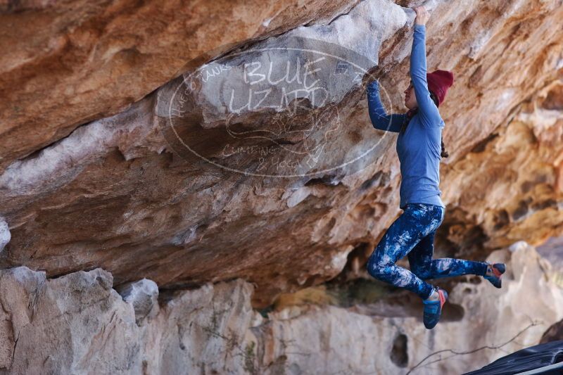 

Filename: SRM_20170103_1340140.jpg
Aperture: f/2.8
Shutter Speed: 1/500
Body: Canon EOS-1D Mark II
Lens: Canon EF 85mm f/1.2 L II