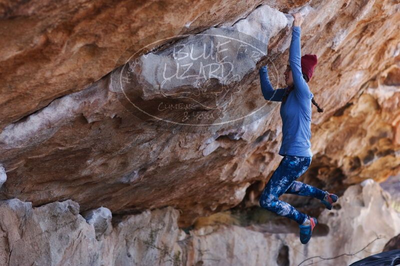 

Filename: SRM_20170103_1340141.jpg
Aperture: f/2.8
Shutter Speed: 1/640
Body: Canon EOS-1D Mark II
Lens: Canon EF 85mm f/1.2 L II