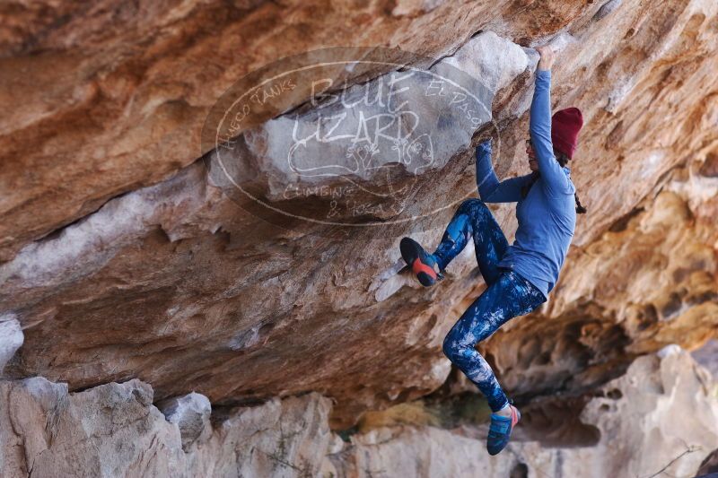 

Filename: SRM_20170103_1340142.jpg
Aperture: f/2.8
Shutter Speed: 1/500
Body: Canon EOS-1D Mark II
Lens: Canon EF 85mm f/1.2 L II