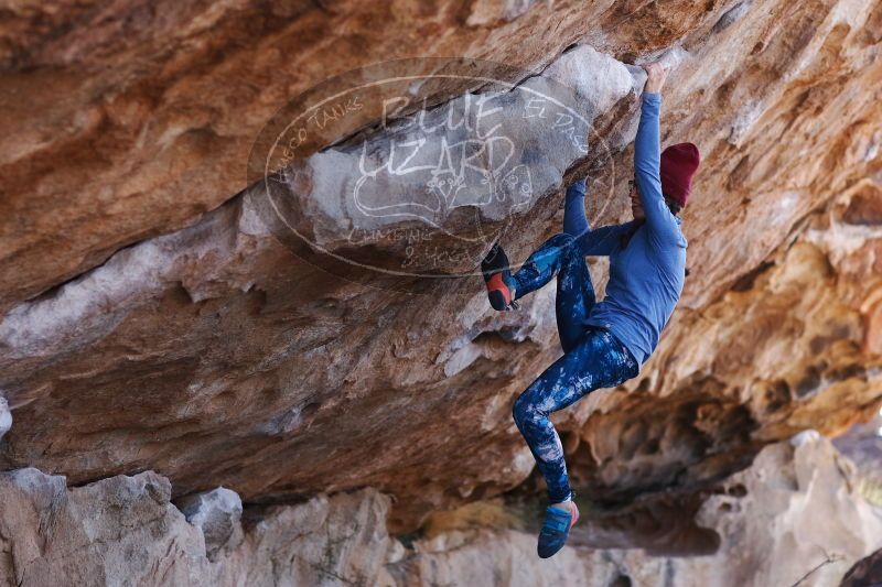 

Filename: SRM_20170103_1340143.jpg
Aperture: f/2.8
Shutter Speed: 1/640
Body: Canon EOS-1D Mark II
Lens: Canon EF 85mm f/1.2 L II