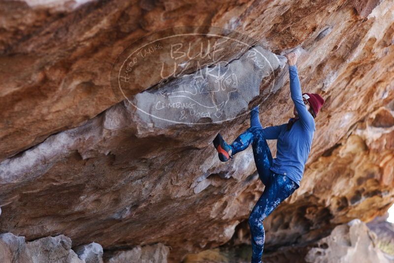 

Filename: SRM_20170103_1340151.jpg
Aperture: f/2.8
Shutter Speed: 1/640
Body: Canon EOS-1D Mark II
Lens: Canon EF 85mm f/1.2 L II