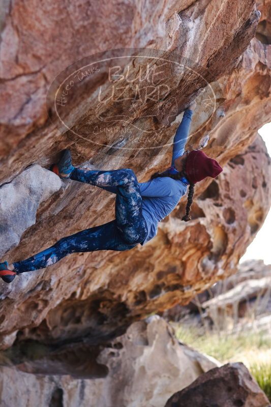 

Filename: SRM_20170103_1340212.jpg
Aperture: f/2.8
Shutter Speed: 1/800
Body: Canon EOS-1D Mark II
Lens: Canon EF 85mm f/1.2 L II