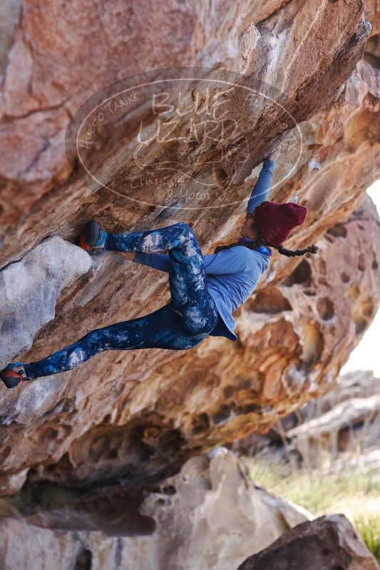 

Filename: SRM_20170103_1340220.jpg
Aperture: f/2.8
Shutter Speed: 1/800
Body: Canon EOS-1D Mark II
Lens: Canon EF 85mm f/1.2 L II