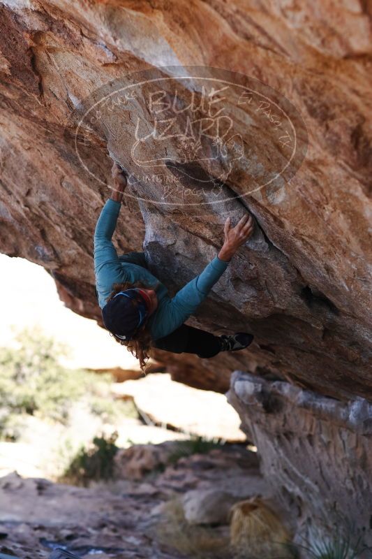 

Filename: SRM_20170103_1346100.jpg
Aperture: f/2.8
Shutter Speed: 1/1000
Body: Canon EOS-1D Mark II
Lens: Canon EF 85mm f/1.2 L II