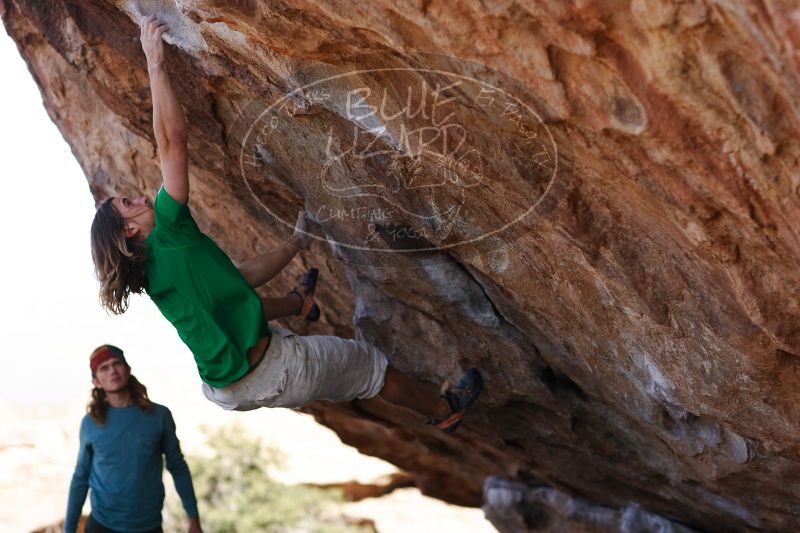 

Filename: SRM_20170103_1400083.jpg
Aperture: f/2.8
Shutter Speed: 1/1250
Body: Canon EOS-1D Mark II
Lens: Canon EF 85mm f/1.2 L II