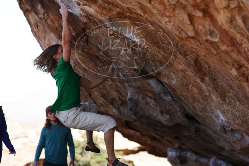 

Filename: SRM_20170103_1400084.jpg
Aperture: f/2.8
Shutter Speed: 1/1600
Body: Canon EOS-1D Mark II
Lens: Canon EF 85mm f/1.2 L II