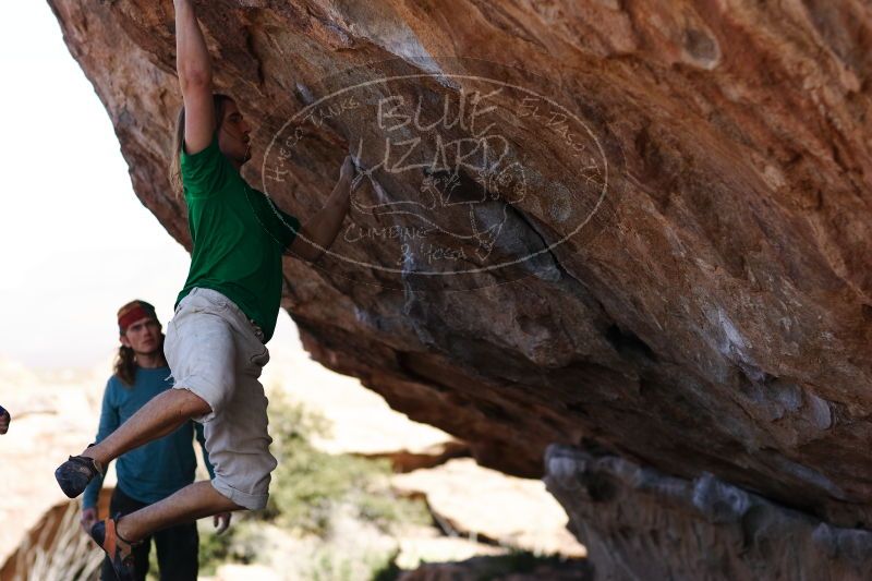 

Filename: SRM_20170103_1400092.jpg
Aperture: f/2.8
Shutter Speed: 1/1600
Body: Canon EOS-1D Mark II
Lens: Canon EF 85mm f/1.2 L II