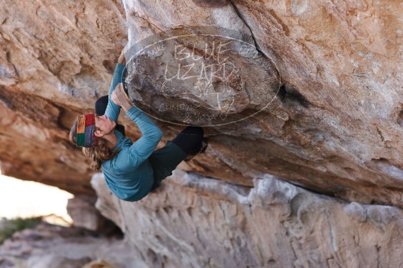 

Filename: SRM_20170103_1401490.jpg
Aperture: f/2.8
Shutter Speed: 1/500
Body: Canon EOS-1D Mark II
Lens: Canon EF 85mm f/1.2 L II