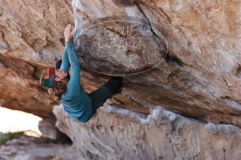 

Filename: SRM_20170103_1401491.jpg
Aperture: f/2.8
Shutter Speed: 1/640
Body: Canon EOS-1D Mark II
Lens: Canon EF 85mm f/1.2 L II