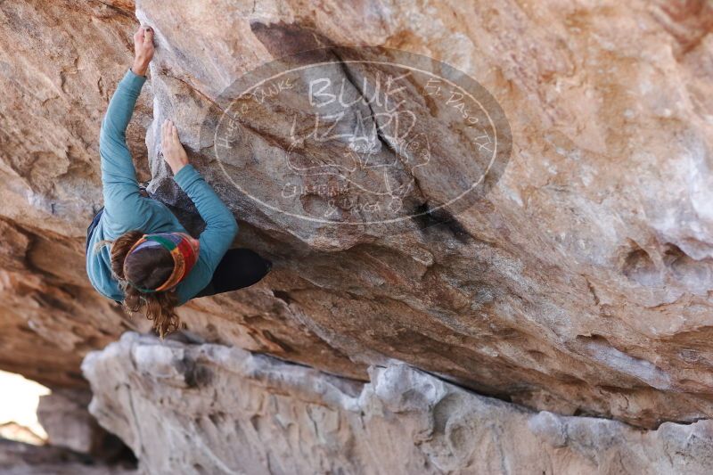 

Filename: SRM_20170103_1402050.jpg
Aperture: f/2.8
Shutter Speed: 1/500
Body: Canon EOS-1D Mark II
Lens: Canon EF 85mm f/1.2 L II