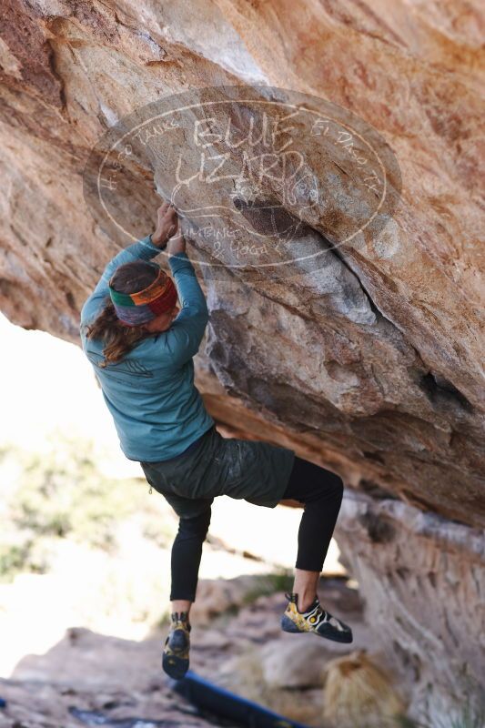 

Filename: SRM_20170103_1413070.jpg
Aperture: f/2.8
Shutter Speed: 1/500
Body: Canon EOS-1D Mark II
Lens: Canon EF 85mm f/1.2 L II