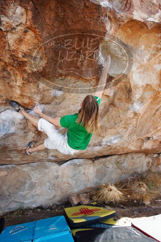 

Filename: SRM_20170103_1435461.jpg
Aperture: f/4.0
Shutter Speed: 1/640
Body: Canon EOS-1D Mark II
Lens: Canon EF 16-35mm f/2.8 L