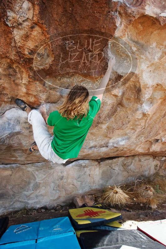 

Filename: SRM_20170103_1435465.jpg
Aperture: f/4.0
Shutter Speed: 1/640
Body: Canon EOS-1D Mark II
Lens: Canon EF 16-35mm f/2.8 L