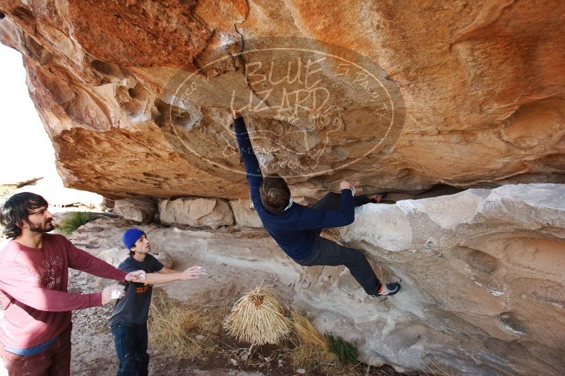 

Filename: SRM_20170103_1438210.jpg
Aperture: f/4.0
Shutter Speed: 1/500
Body: Canon EOS-1D Mark II
Lens: Canon EF 16-35mm f/2.8 L