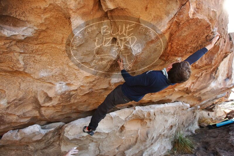 

Filename: SRM_20170103_1438471.jpg
Aperture: f/4.0
Shutter Speed: 1/500
Body: Canon EOS-1D Mark II
Lens: Canon EF 16-35mm f/2.8 L