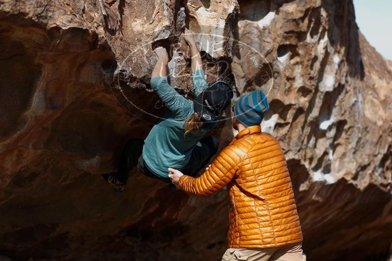 

Filename: SRM_20170103_1455540.jpg
Aperture: f/2.8
Shutter Speed: 1/800
Body: Canon EOS-1D Mark II
Lens: Canon EF 85mm f/1.2 L II