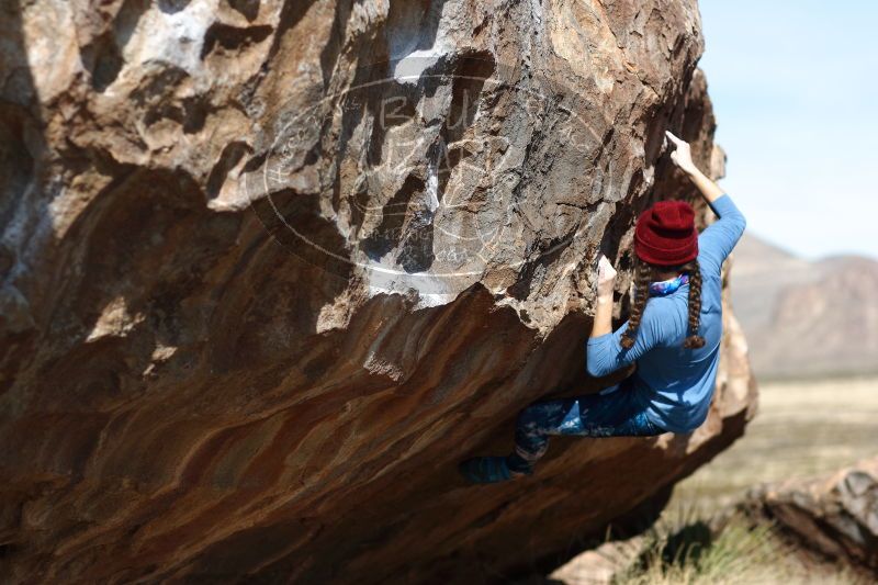 

Filename: SRM_20170103_1459200.jpg
Aperture: f/2.8
Shutter Speed: 1/1250
Body: Canon EOS-1D Mark II
Lens: Canon EF 85mm f/1.2 L II