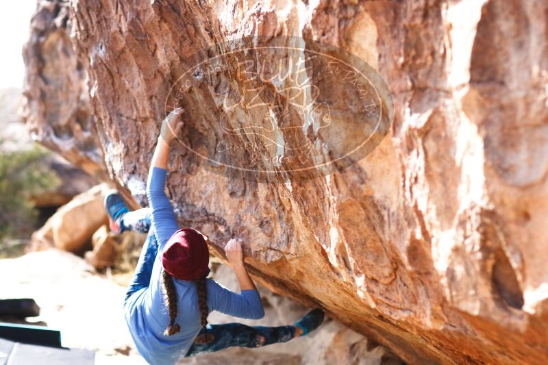 

Filename: SRM_20170103_1501371.jpg
Aperture: f/2.8
Shutter Speed: 1/320
Body: Canon EOS-1D Mark II
Lens: Canon EF 85mm f/1.2 L II