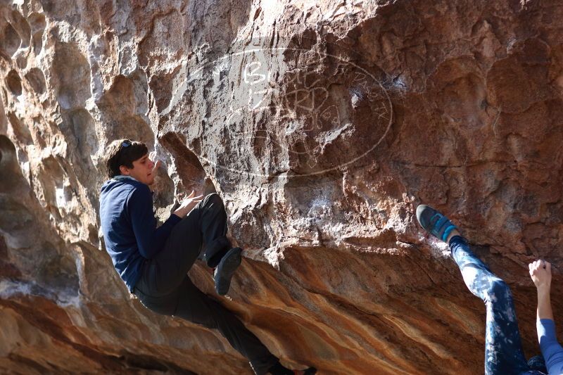 

Filename: SRM_20170103_1502560.jpg
Aperture: f/2.8
Shutter Speed: 1/500
Body: Canon EOS-1D Mark II
Lens: Canon EF 85mm f/1.2 L II