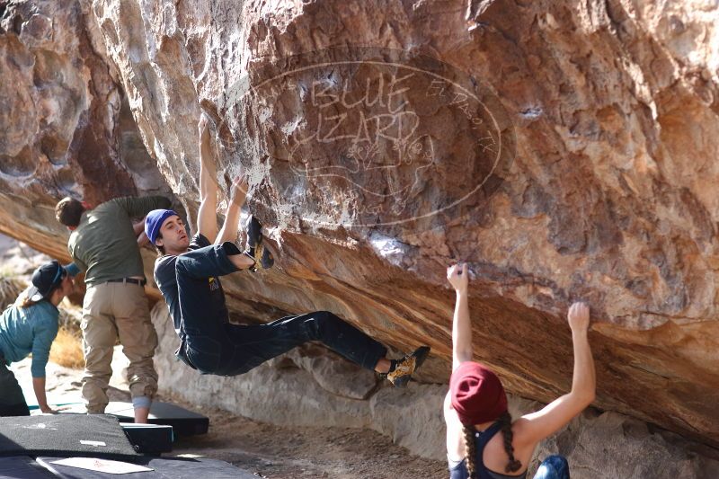 

Filename: SRM_20170103_1506250.jpg
Aperture: f/2.8
Shutter Speed: 1/320
Body: Canon EOS-1D Mark II
Lens: Canon EF 85mm f/1.2 L II