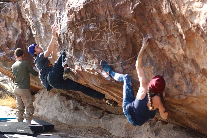 

Filename: SRM_20170103_1506290.jpg
Aperture: f/2.8
Shutter Speed: 1/320
Body: Canon EOS-1D Mark II
Lens: Canon EF 85mm f/1.2 L II