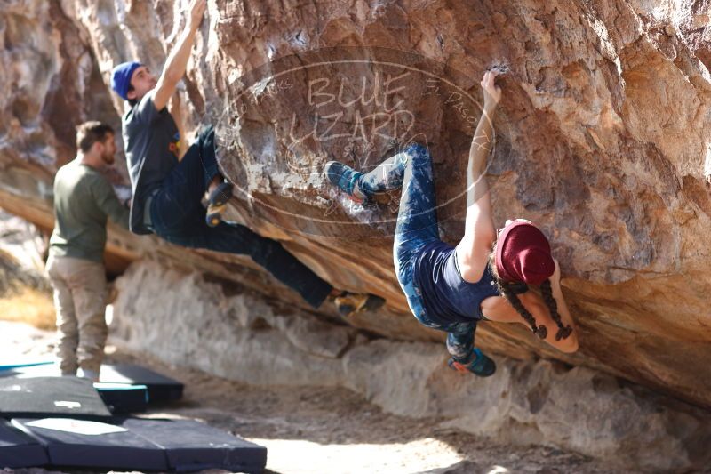 

Filename: SRM_20170103_1506310.jpg
Aperture: f/2.8
Shutter Speed: 1/320
Body: Canon EOS-1D Mark II
Lens: Canon EF 85mm f/1.2 L II