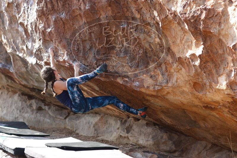 

Filename: SRM_20170103_1512561.jpg
Aperture: f/2.8
Shutter Speed: 1/320
Body: Canon EOS-1D Mark II
Lens: Canon EF 85mm f/1.2 L II