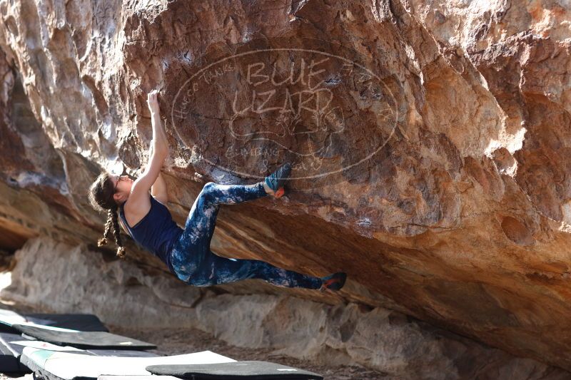 

Filename: SRM_20170103_1512590.jpg
Aperture: f/2.8
Shutter Speed: 1/400
Body: Canon EOS-1D Mark II
Lens: Canon EF 85mm f/1.2 L II