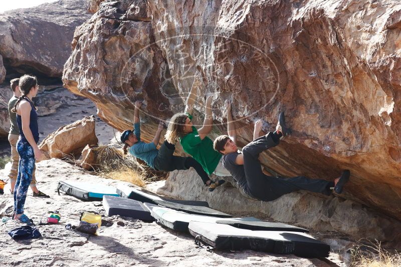 

Filename: SRM_20170103_1513400.jpg
Aperture: f/8.0
Shutter Speed: 1/500
Body: Canon EOS-1D Mark II
Lens: Canon EF 85mm f/1.2 L II