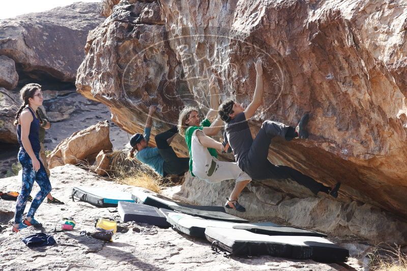 

Filename: SRM_20170103_1513430.jpg
Aperture: f/8.0
Shutter Speed: 1/500
Body: Canon EOS-1D Mark II
Lens: Canon EF 85mm f/1.2 L II