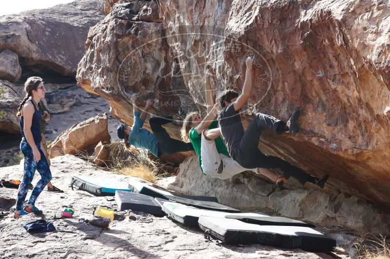 

Filename: SRM_20170103_1513440.jpg
Aperture: f/8.0
Shutter Speed: 1/500
Body: Canon EOS-1D Mark II
Lens: Canon EF 85mm f/1.2 L II