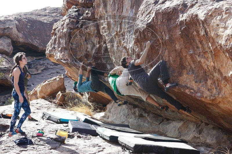 

Filename: SRM_20170103_1513460.jpg
Aperture: f/8.0
Shutter Speed: 1/500
Body: Canon EOS-1D Mark II
Lens: Canon EF 85mm f/1.2 L II