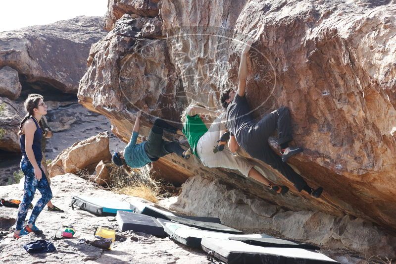 

Filename: SRM_20170103_1513480.jpg
Aperture: f/8.0
Shutter Speed: 1/400
Body: Canon EOS-1D Mark II
Lens: Canon EF 85mm f/1.2 L II