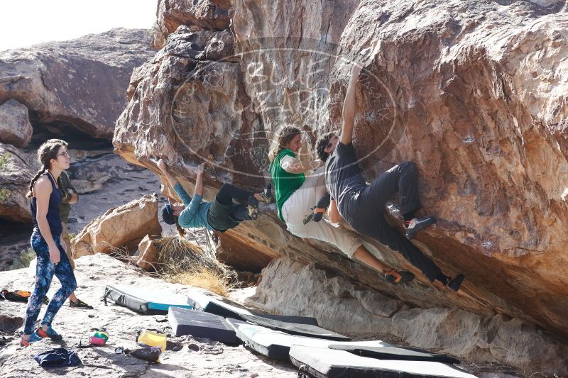 

Filename: SRM_20170103_1513481.jpg
Aperture: f/8.0
Shutter Speed: 1/400
Body: Canon EOS-1D Mark II
Lens: Canon EF 85mm f/1.2 L II