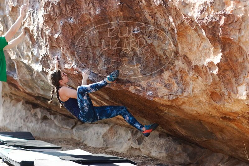 

Filename: SRM_20170103_1514421.jpg
Aperture: f/2.8
Shutter Speed: 1/640
Body: Canon EOS-1D Mark II
Lens: Canon EF 85mm f/1.2 L II