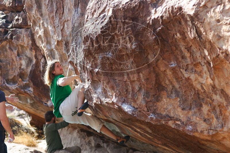 

Filename: SRM_20170103_1515561.jpg
Aperture: f/2.8
Shutter Speed: 1/800
Body: Canon EOS-1D Mark II
Lens: Canon EF 85mm f/1.2 L II