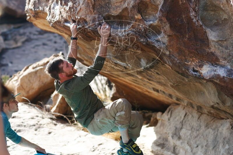 

Filename: SRM_20170103_1516391.jpg
Aperture: f/2.8
Shutter Speed: 1/800
Body: Canon EOS-1D Mark II
Lens: Canon EF 85mm f/1.2 L II