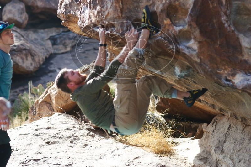 

Filename: SRM_20170103_1516400.jpg
Aperture: f/2.8
Shutter Speed: 1/800
Body: Canon EOS-1D Mark II
Lens: Canon EF 85mm f/1.2 L II