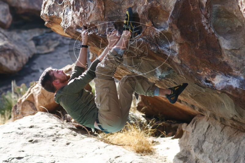 

Filename: SRM_20170103_1516401.jpg
Aperture: f/2.8
Shutter Speed: 1/1000
Body: Canon EOS-1D Mark II
Lens: Canon EF 85mm f/1.2 L II